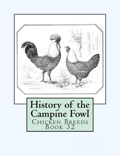 History of the Campine Fowl Chicken Breeds Book 32