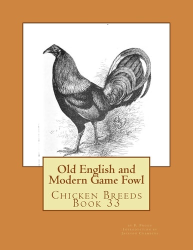 Old English and Modern Game Fowl Chicken Breeds Book 33