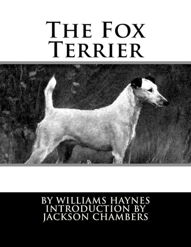The Fox Terrier