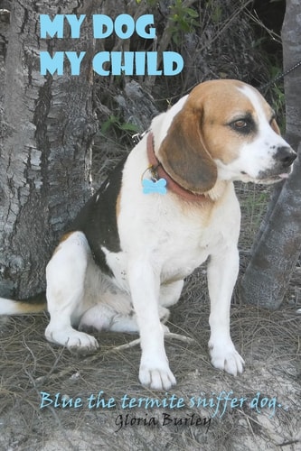 My Dog, My Child Blue the Termite Sniffer Dog