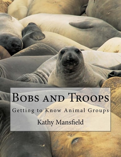 Bobs and Troops Getting to Know Animal Groups