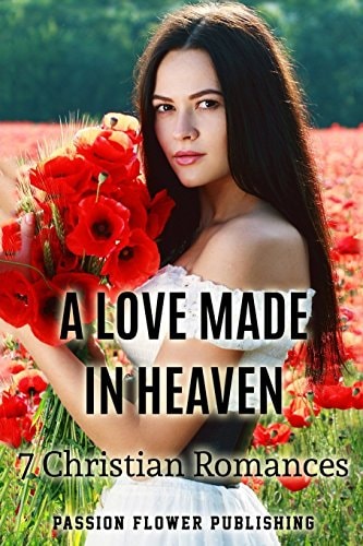 A Love Made in Heaven 7 Christian Romances