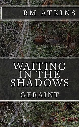 Waiting in the Shadows Geraint