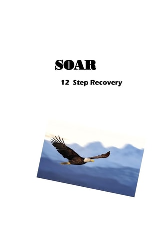 SOAR 12 Step Recovery Set-Free Others And Recover