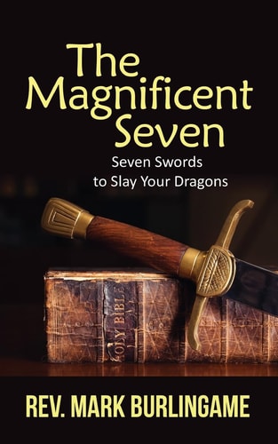 The Magnificent Seven Seven Swords to Slay Your Dragons