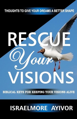 Rescue Your Visions Biblical Keys for Keeping Your Visions Alive