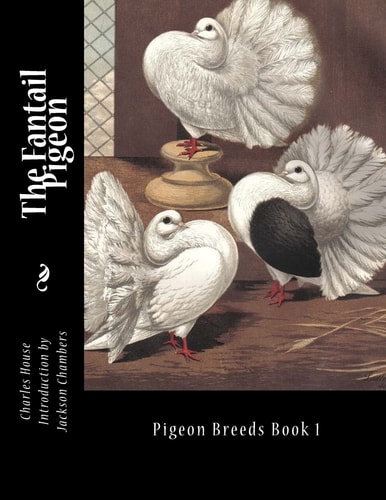 The Fantail Pigeon Pigeon Breeds Book 1