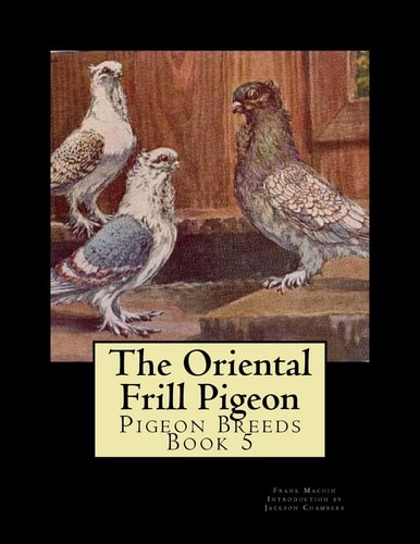 The Oriental Frill Pigeon Pigeon Breeds Book 5