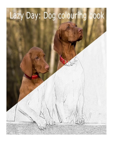 Lazy Day Dog Colouring Book