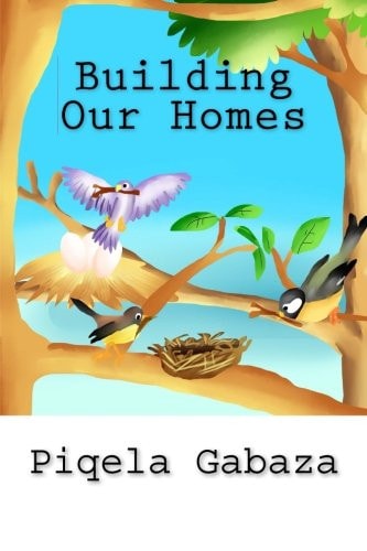 Building Our Homes