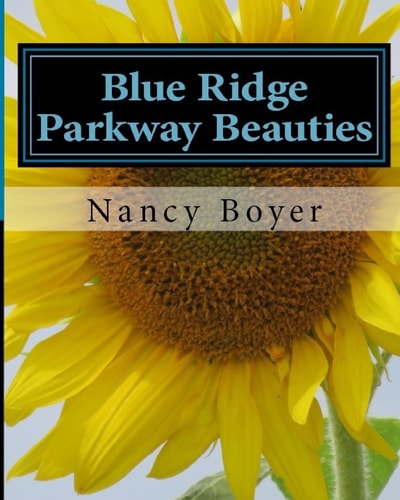 Blue Ridge Parkway Beauties First in a Series on the Blue Ridge Mountains