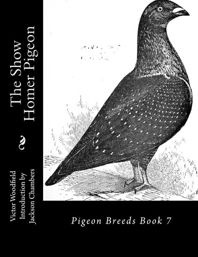 The Show Homer Pigeon Pigeon Breeds Book 7