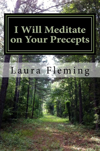 I Will Meditate on Your Precepts 22 Studies in Psalm 119