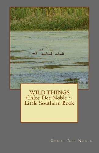 WILD THINGS Chloe Dee Noble ~ Little Southern Book
