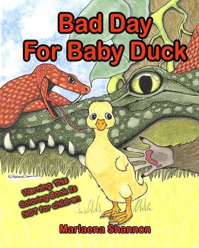 Bad Day For Baby Duck Grown-up Coloring Book Edition