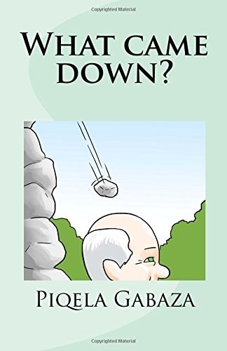 What Came Down?