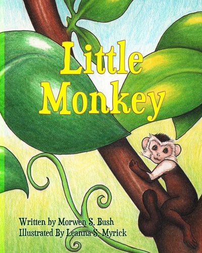 Little Monkey