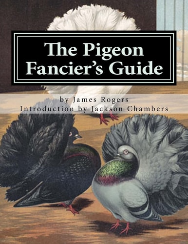 The Pigeon Fancier's Guide Pigeon Classics Book 5