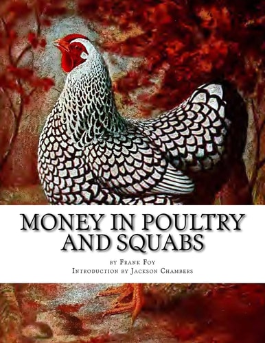 Money in Poultry and Squabs Raising Pigeons for Squabs Book 13