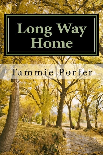 Long Way Home Stolen But Not Broken