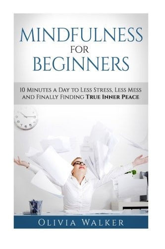Mindfulness For Beginners 10 Minutes A Day To Less Stress, Less Mess and Finally Finding True Inner Peace