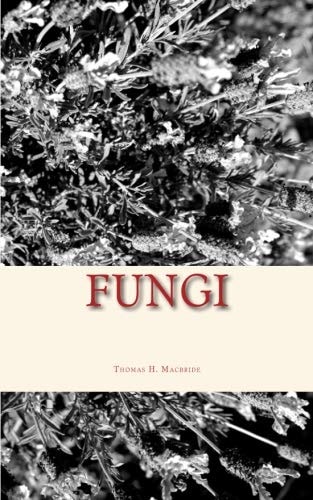 Fungi