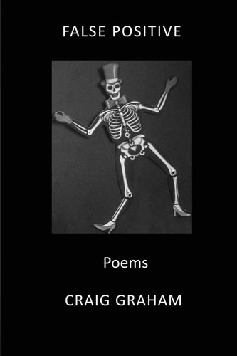False Positive Poems