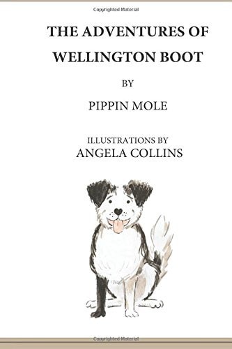 The Adventures of Wellington Boot