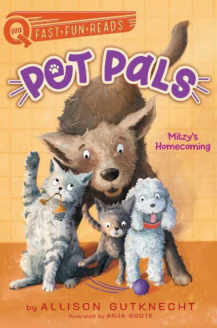 Mitzys Homecoming: A Quix Book