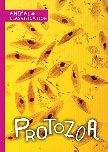Protozoa