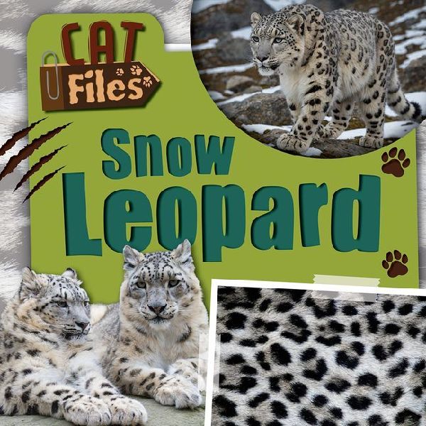 Snow Leopard
