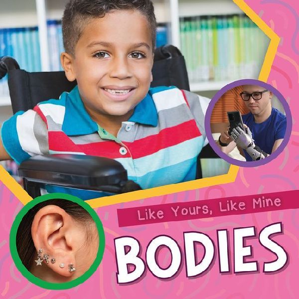 Bodies