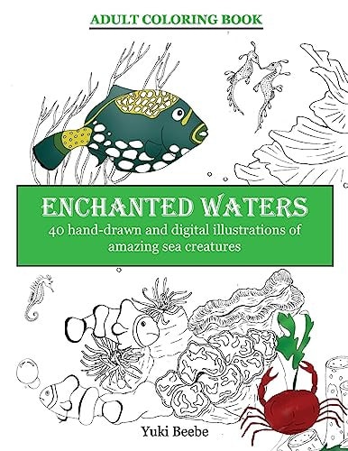 Enchanted Waters 40 Illustrations of Amazing Underwater Life