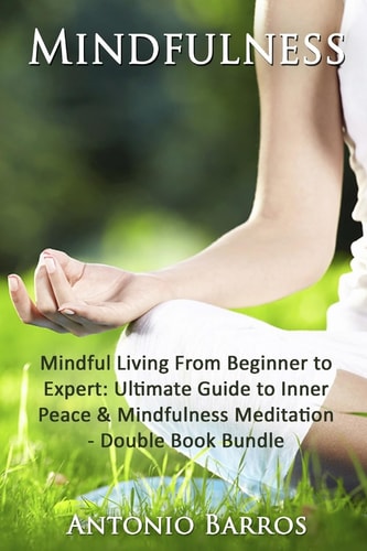 Mindfulness Mindful Living From Beginner to Expert - Double Book Bundle