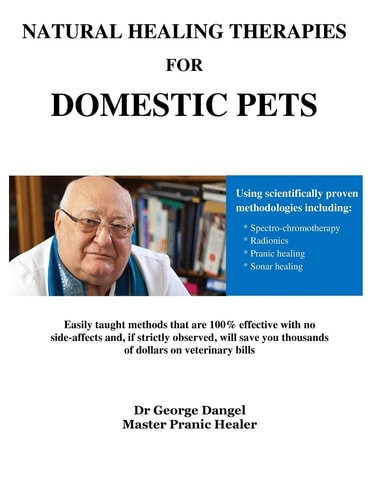 Natural Healing Therapies For Domestic Pets The Chakra System of Animals