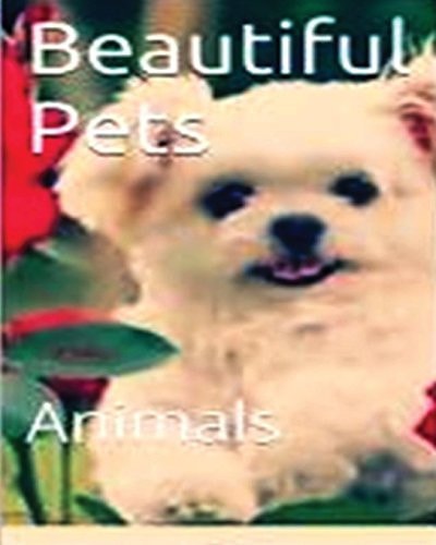 Beautiful Pets Animal