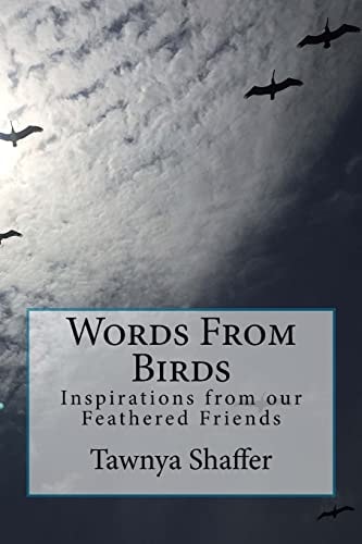 Words From Birds Inspirations from Our Feathered Friends
