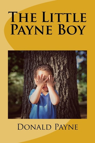 The Little Payne Boy Over 100 Short Stories about a Child Growing Up in Oberlin, Ohio.