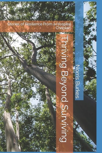 Thriving Beyond Surviving Stories of Resilience from a Hospital Chaplain