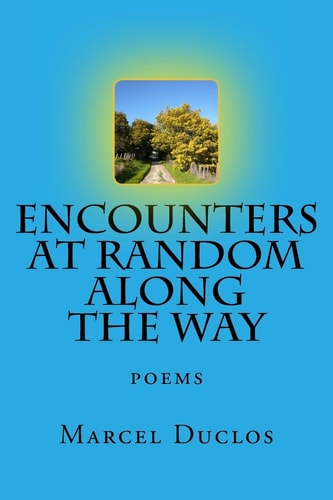 Encounters at Random Along the Way Poems