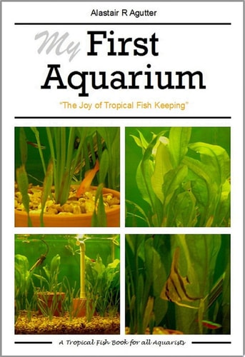 My First Aquarium Book The Joy of Tropical Fish Keeping
