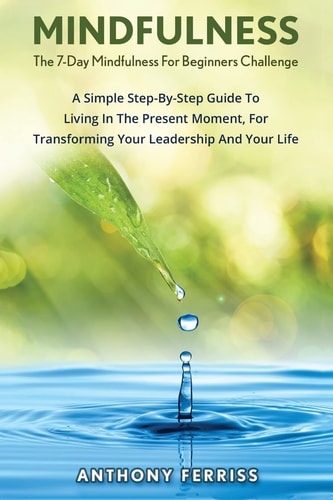 The 7-Day Mindfulness For Beginners Challenge A Simple Step-By-Step Guide To Living In The Present Moment, For Transforming Your Leadership And Your Life