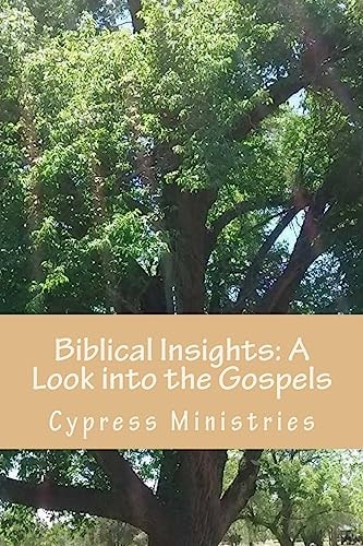 Biblical Insights: a Look Into the Gospels Basic Study Notes for Better Understanding