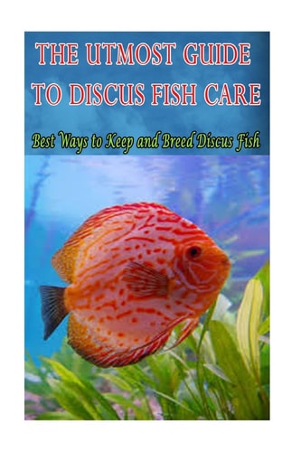 The Utmost Guide to Discus Fish Care Best Ways to Keep and Breed Discus Fish