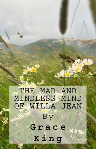 The Mad and Mindless Mind of Willa Jean