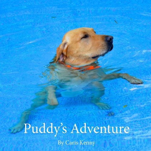 Puddy's Adventure