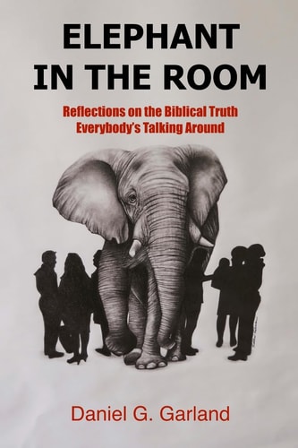 Elephant in the Room Reflections on the Biblical Truth Everybody's Talking Around