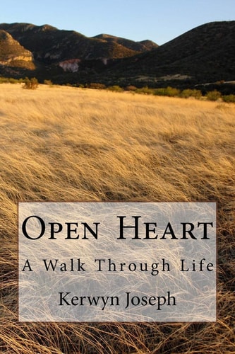 Open Heart A Walk Through Life