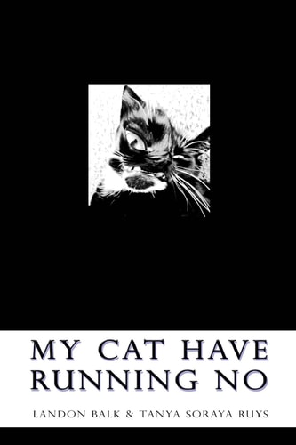 My Cat Have Running No