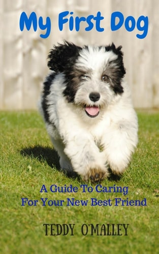 My First Dog A Guide To Caring For Your New Best Friend